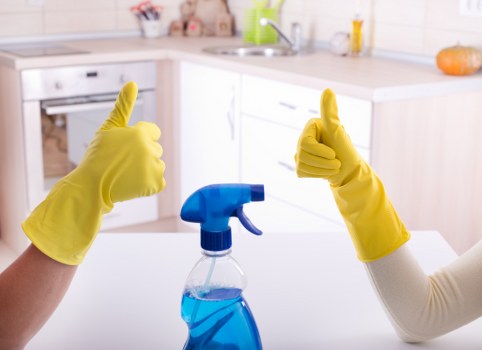 Oven cleaning service for a Clapham kitchen appliance