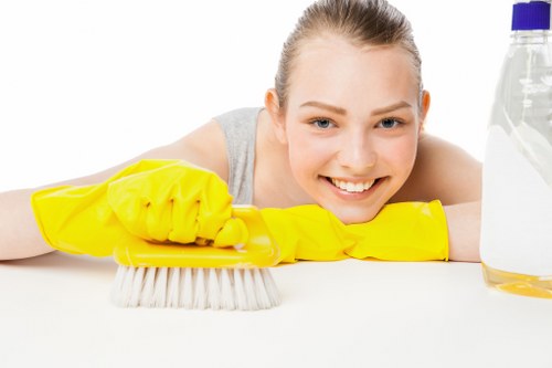 Professional carpet cleaning in a Clapham home