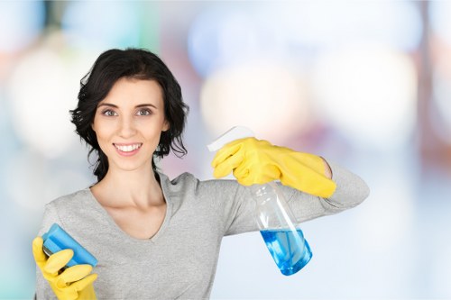 Detailed kitchen cleaning as part of deep cleaning in Clapham