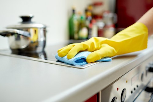 Quotation guidance for a deep cleaning request