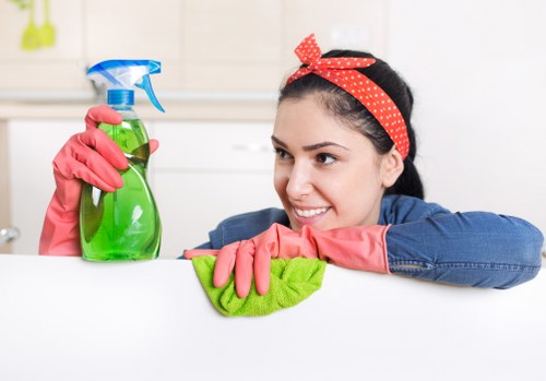 Professional carpet cleaning equipment in a Clapham property