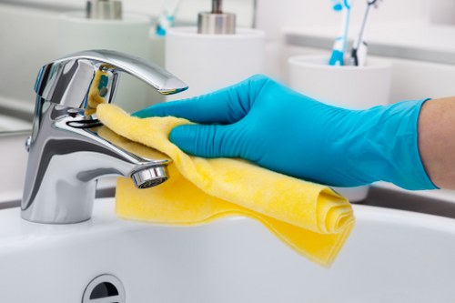 Detailed cleaning service for a kitchen in Clapham