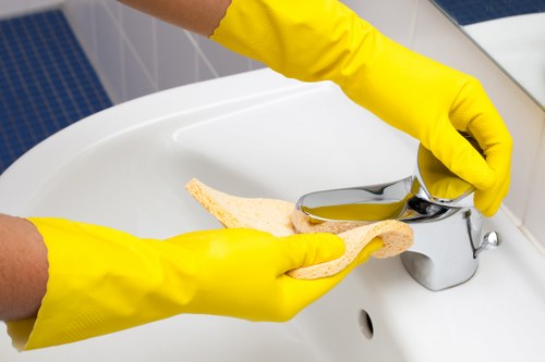 Deep cleaning oven shelves and interior surfaces